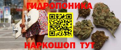 альфа пвп Славгород