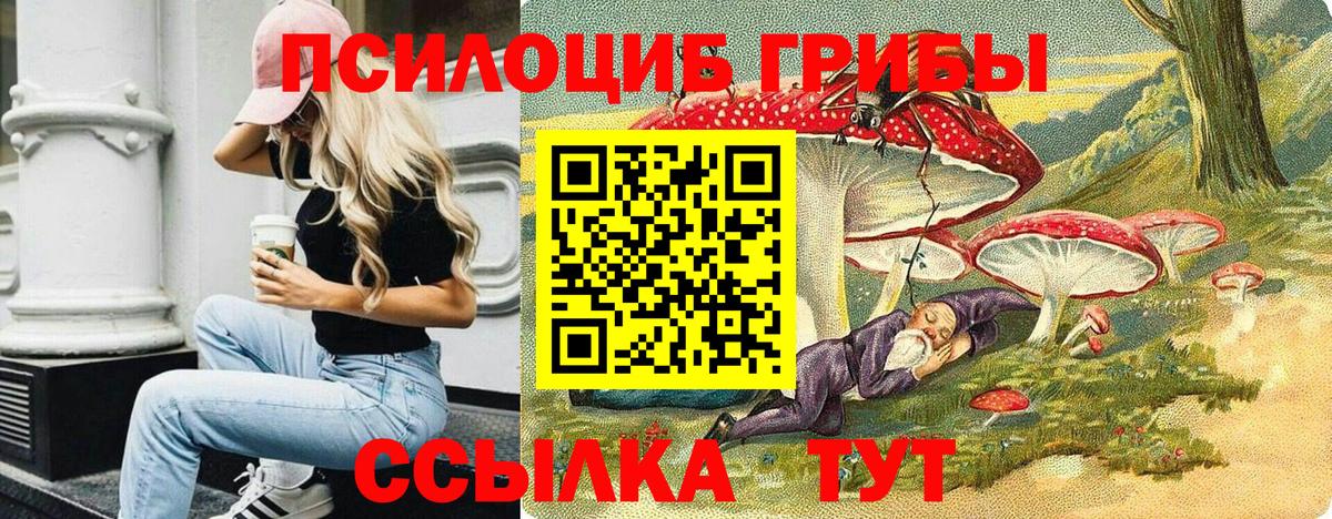 наркота  Галлюциногенные грибы Magic Shrooms  Вход с VPN  Учалы  Галлюциногенные грибы GOLDEN TEACHER 